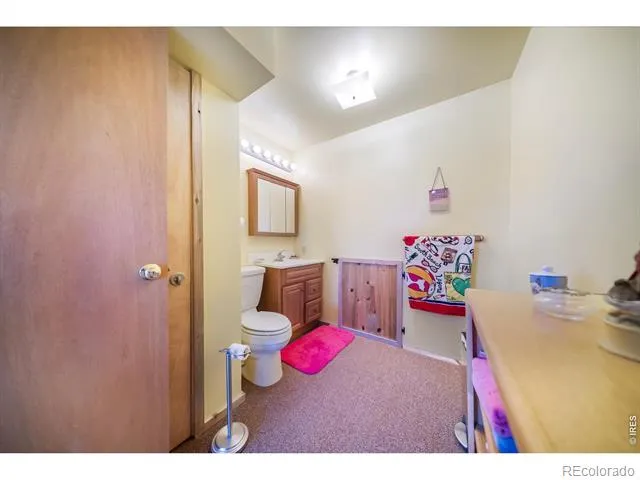 672 Garfield Street Walden, CO 80480