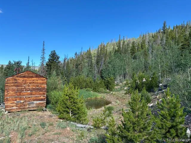 540 Elkridge Road Red Feather Lakes, CO 80545