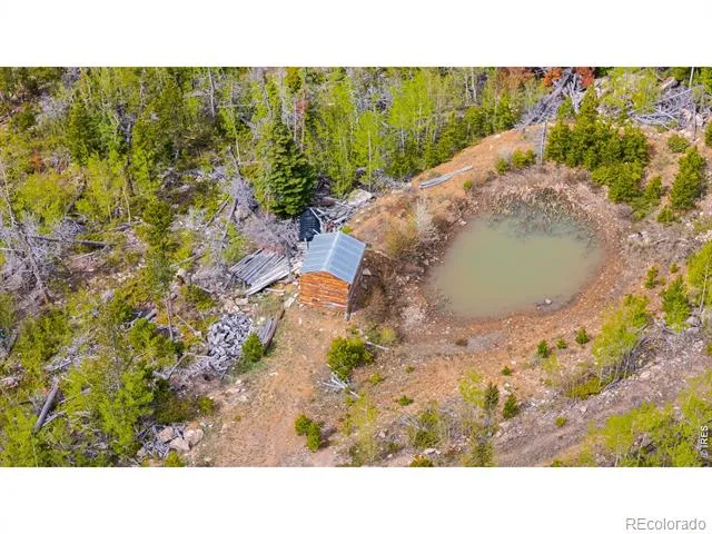 540 Elkridge Road Red Feather Lakes, CO 80545