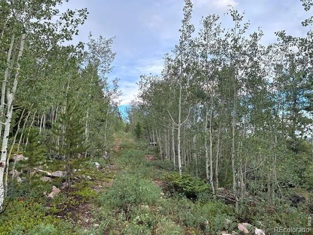 540 Elkridge Road Red Feather Lakes, CO 80545