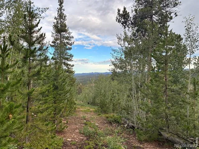 540 Elkridge Road Red Feather Lakes, CO 80545
