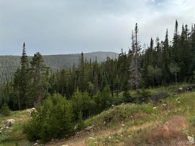 540 Elkridge Road Red Feather Lakes, CO 80545