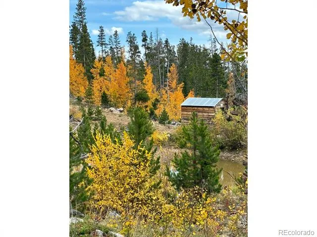 540 Elkridge Road Red Feather Lakes, CO 80545