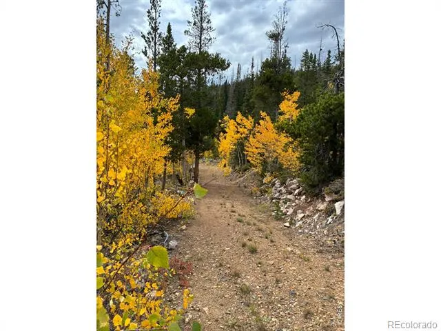 540 Elkridge Road Red Feather Lakes, CO 80545