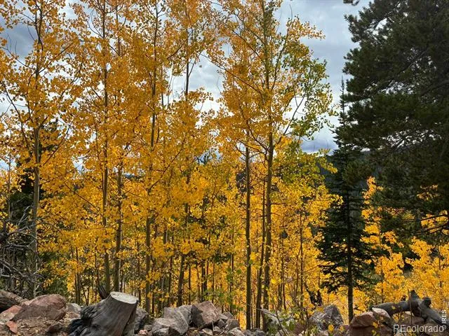540 Elkridge Road Red Feather Lakes, CO 80545