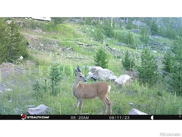 540 Elkridge Road Red Feather Lakes, CO 80545