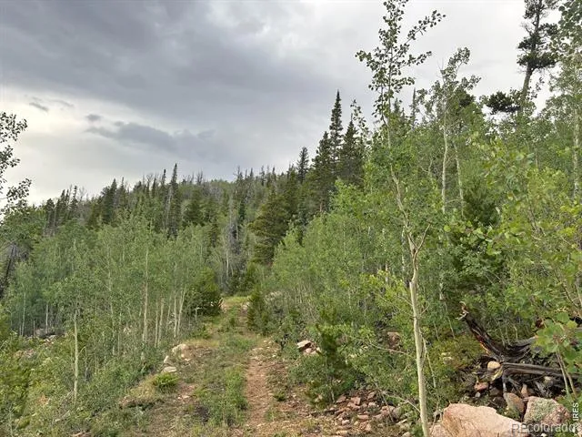 540 Elkridge Road Red Feather Lakes, CO 80545