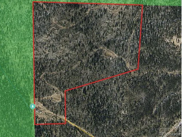 540 Elkridge Road Red Feather Lakes, CO 80545