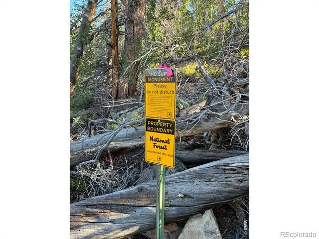 540 Elkridge Road Red Feather Lakes, CO 80545