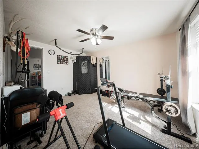 236 Priddy Street Pierce, CO 80650