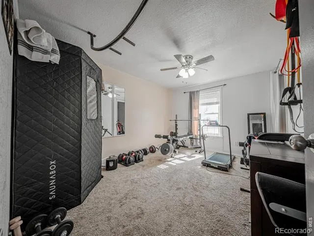 236 Priddy Street Pierce, CO 80650