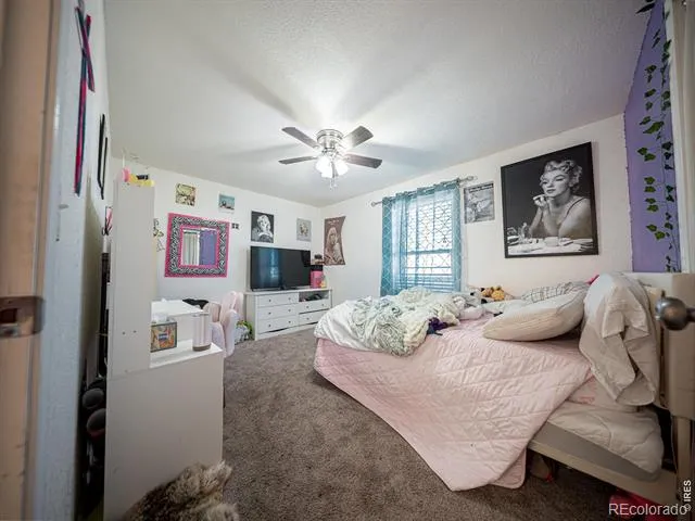 236 Priddy Street Pierce, CO 80650