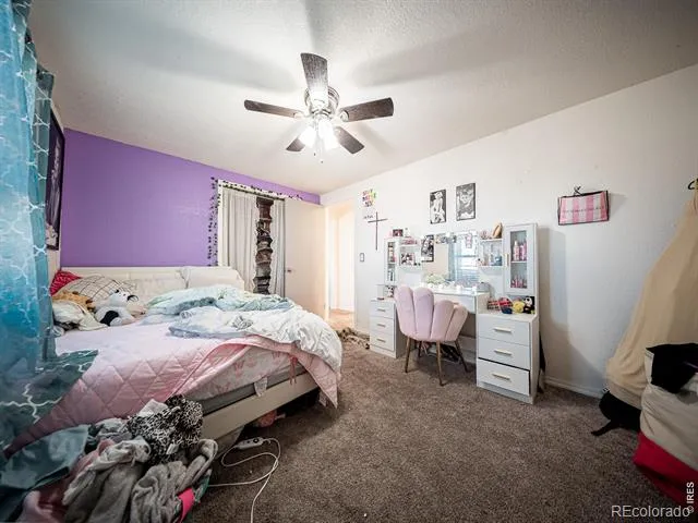 236 Priddy Street Pierce, CO 80650