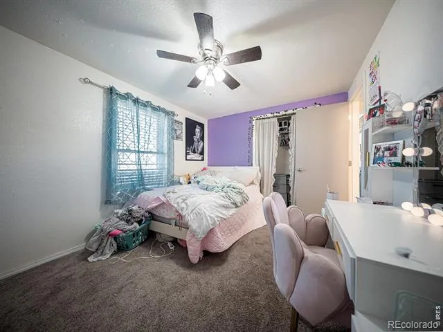 236 Priddy Street Pierce, CO 80650