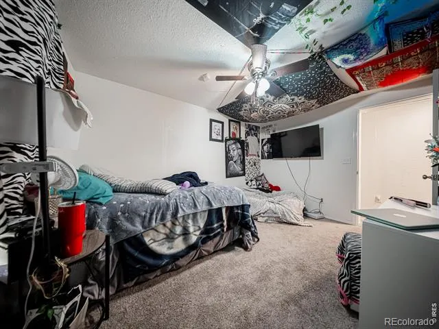 236 Priddy Street Pierce, CO 80650