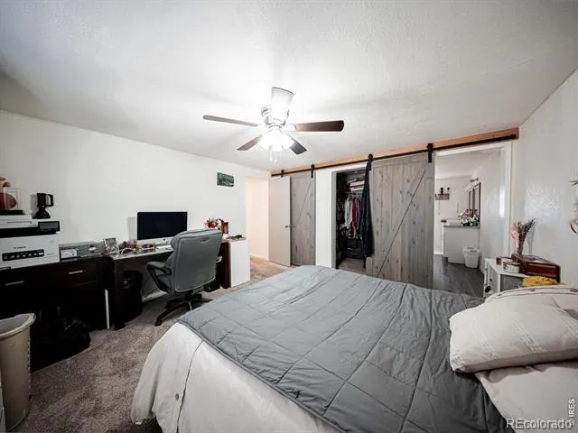 236 Priddy Street Pierce, CO 80650