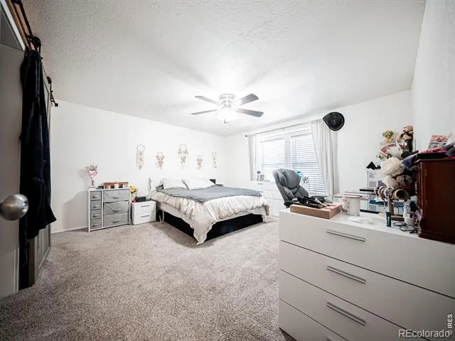 236 Priddy Street Pierce, CO 80650