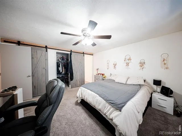 236 Priddy Street Pierce, CO 80650