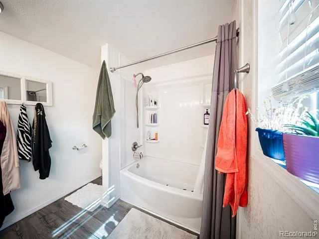 236 Priddy Street Pierce, CO 80650
