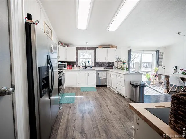 236 Priddy Street Pierce, CO 80650