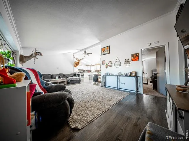 236 Priddy Street Pierce, CO 80650
