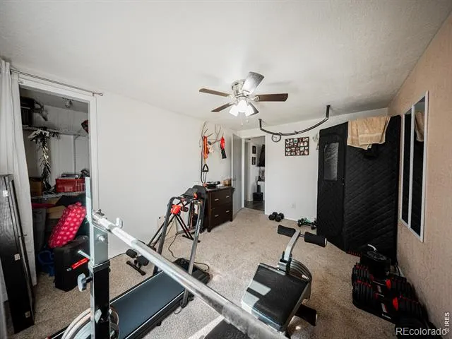 236 Priddy Street Pierce, CO 80650