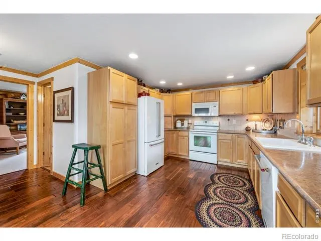 171 Critter Court Livermore, CO 80536