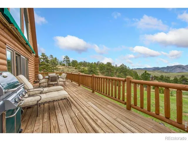 171 Critter Court Livermore, CO 80536