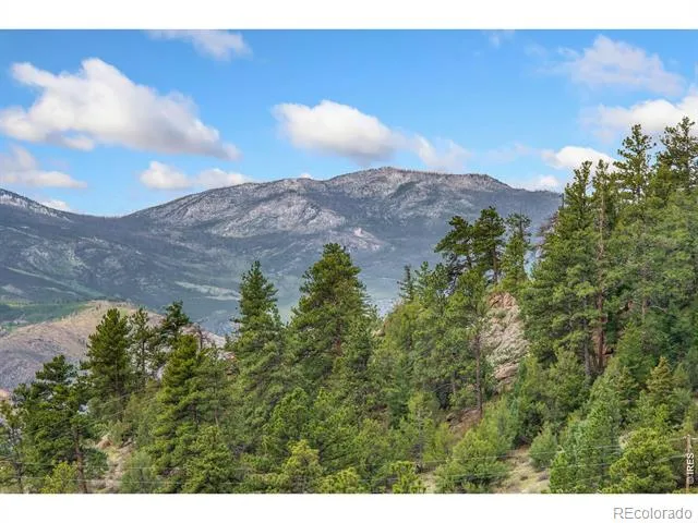 171 Critter Court Livermore, CO 80536