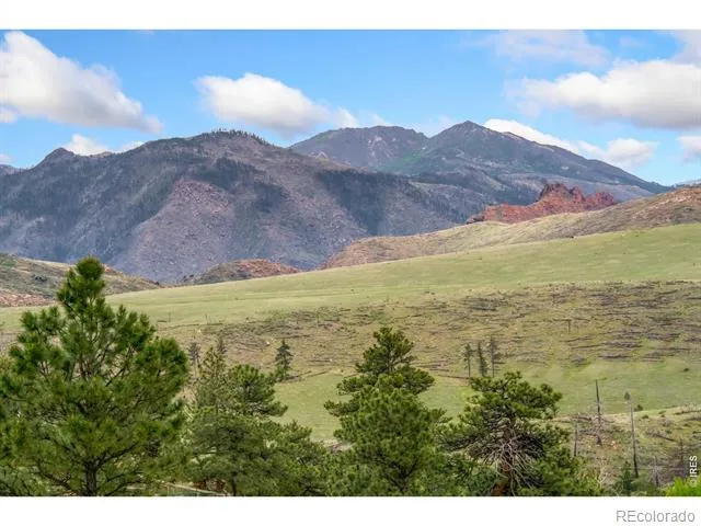 171 Critter Court Livermore, CO 80536