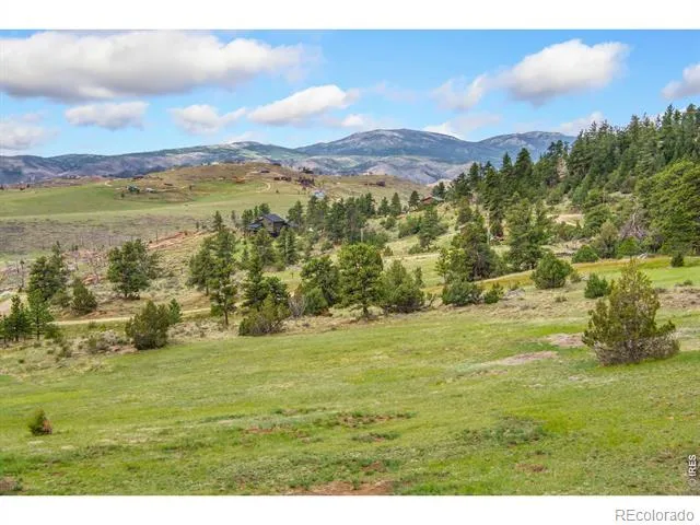 171 Critter Court Livermore, CO 80536
