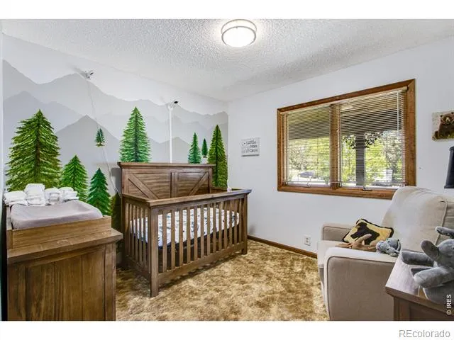 1104 Engleman Place Loveland, CO 80538