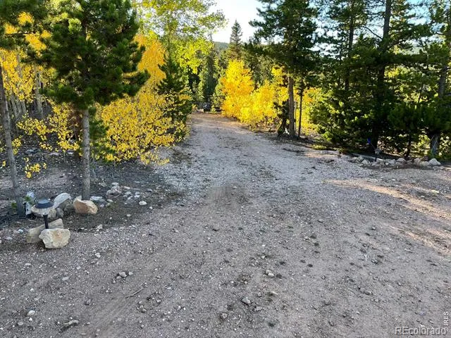 44 Natchez Circle Red Feather Lakes, CO 80545