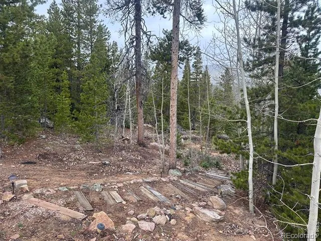 44 Natchez Circle Red Feather Lakes, CO 80545