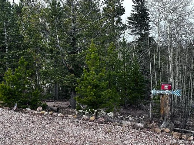 44 Natchez Circle Red Feather Lakes, CO 80545