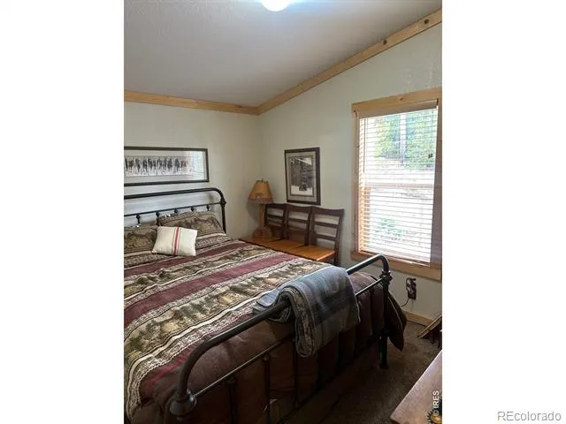 44 Natchez Circle Red Feather Lakes, CO 80545
