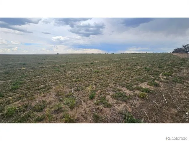 0 TBD Wiggins, CO 80654