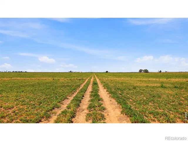 0 TBD Wiggins, CO 80654