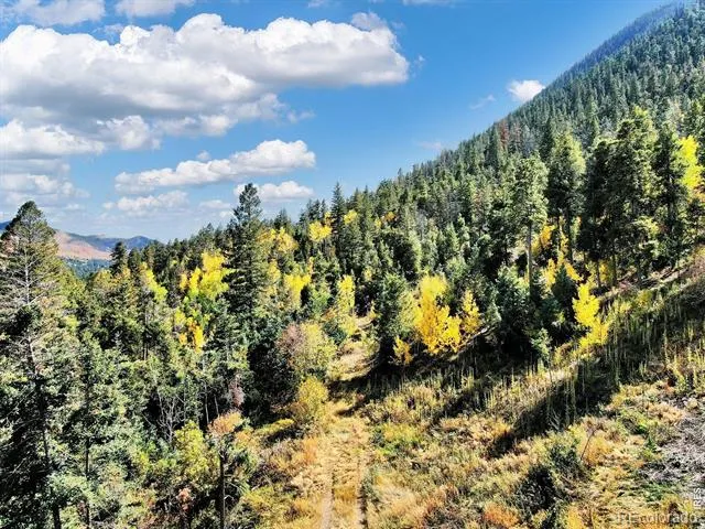 5265 Kulsa Road Cascade, CO 80809