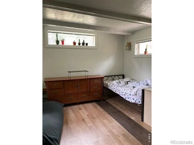 1064 Cold Springs Road Nederland, CO 80466