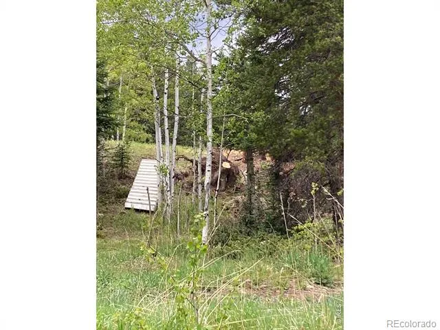 1064 Cold Springs Road Nederland, CO 80466