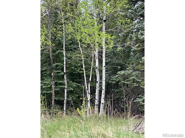 1064 Cold Springs Road Nederland, CO 80466