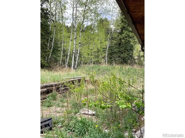 1064 Cold Springs Road Nederland, CO 80466