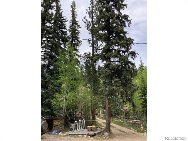 1064 Cold Springs Road Nederland, CO 80466