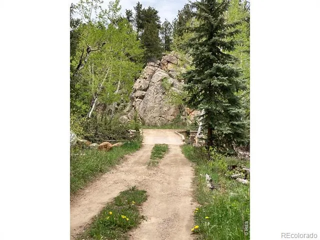 1064 Cold Springs Road Nederland, CO 80466