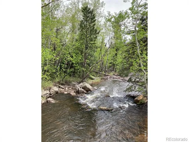 1064 Cold Springs Road Nederland, CO 80466