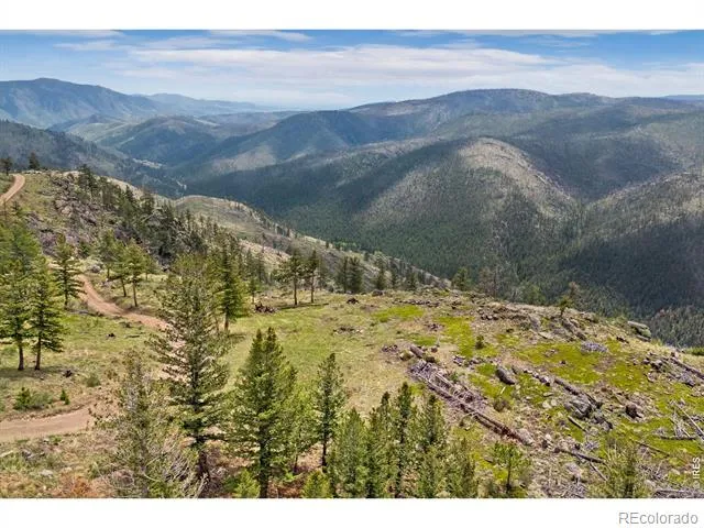 0 Spencer Mountain Road Bellvue, CO 80512