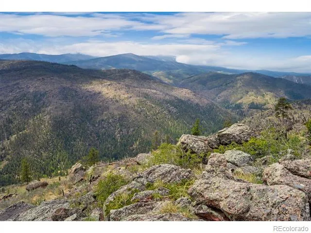 0 Spencer Mountain Road Bellvue, CO 80512