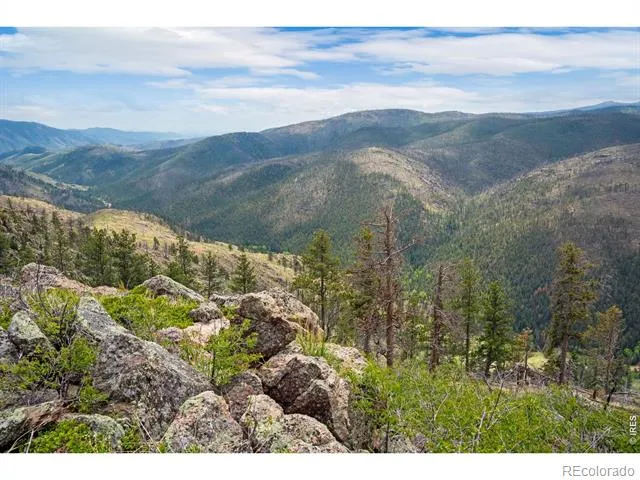 0 Spencer Mountain Road Bellvue, CO 80512