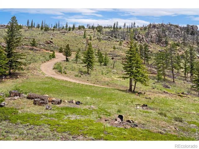 0 Spencer Mountain Road Bellvue, CO 80512